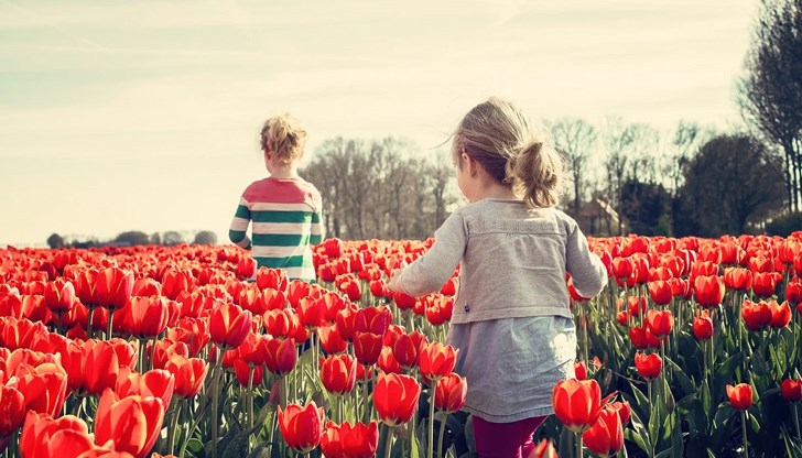 Около и след обяд облачността ще се увеличи, по-значителна ще е над югоизточната половина от страната, където на места ще превали дъжд Около и след обяд облачността ще се увеличи, по-значителна ще е над югоизточната половина от страната, където на места ще превали дъжд