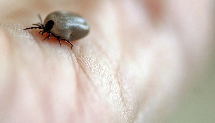 В случай на лошо време третирането ще се отложи за следващия подходящ ден