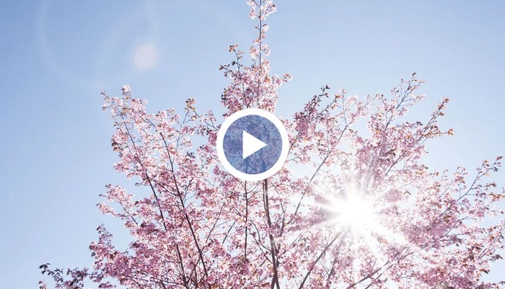 От 3 - 4 май ще навлезе и порция по-хладен въздух и ще понижи температурите