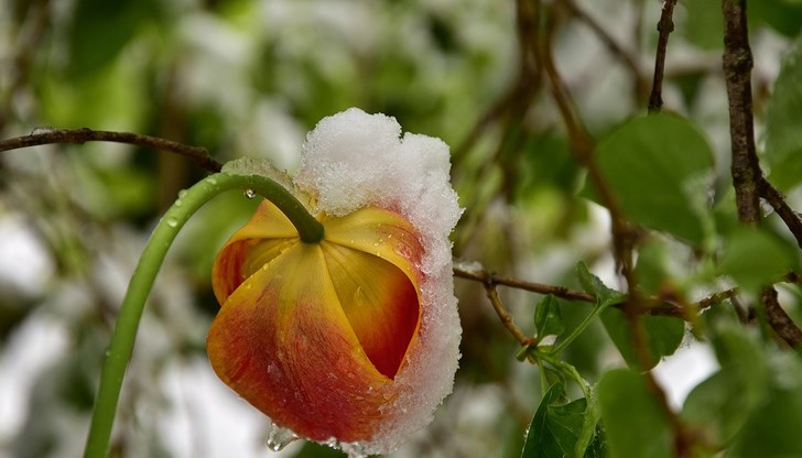 До края на тази седмица сутрин рано термометрите ще се колебаят около и под нулата, но през деня ще показват между 10 и 15 - 16 градуса До края на тази седмица сутрин рано термометрите ще се колебаят около и под нулата, но през деня ще показват между 10 и 15 - 16 градуса
