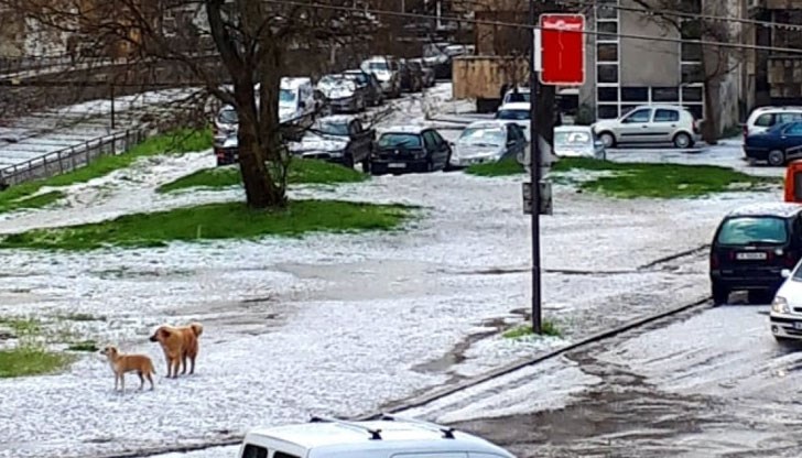 Ледените късове удариха града около 13 часа днес