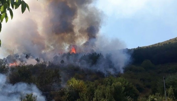 Изпълнителната агенция по горите призовава всички граждани да бъдат особено внимателни и да се въздържат от палене на огън на открито
