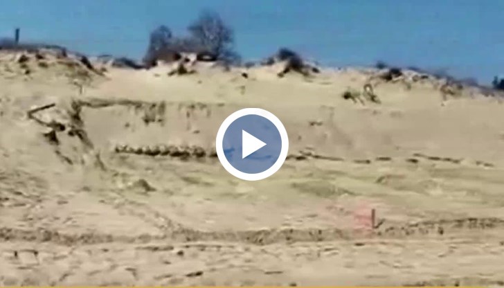 Според концесионера нямало разрушени дюни, въпреки многобройните видеа и снимки във фейсбук