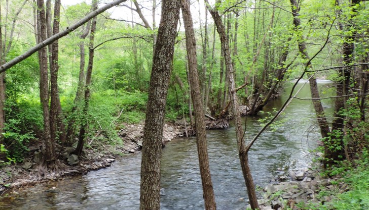 По-рано този месец мечка уби 39-годишен мъж, излязъл на джогинг По-рано този месец мечка уби 39-годишен мъж, излязъл на джогинг