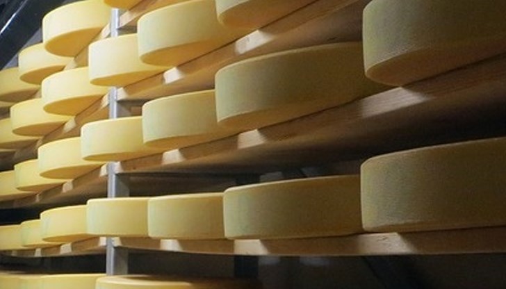 Липса на близо 38 тона кашкавал за държавния резерв е установена в мандрата в град Елена Липса на близо 38 тона кашкавал за държавния резерв е установена в мандрата в град Елена