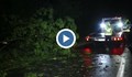 Паднали дървета и поредица от катастрофи в Русе заради бурята