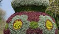 30 хиляди нови цветя облякоха Вазата в Парка на младежта