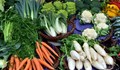 Зеленчукопроизводител в Русенско: Турската стока се продава за българска