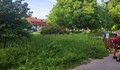 В Средна кула - трева до колене до детските площадки