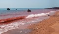 Учени установиха, че Червено море прилича на млад океан