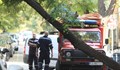 Пожарникари отстраняват дървета от пътя след бурята в Русе