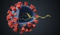 Във Виетнам откриха нов вариант на коронавируса
