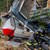 5-годишно момче е единственият оцелял от падналата кабинка в Италия