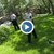 Полицаи гониха алигатор в двора на къща във Флорида