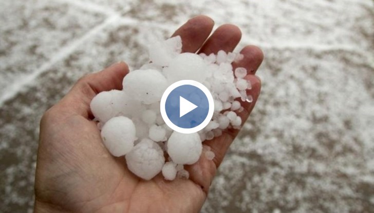 По предварителни изчисления близо 70% от продукцията е унищожена от стихията