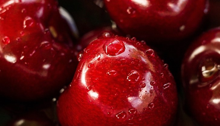 По-малкото череши предполагат и по-висока цена, поне в началото но сезона По-малкото череши предполагат и по-висока цена, поне в началото но сезона