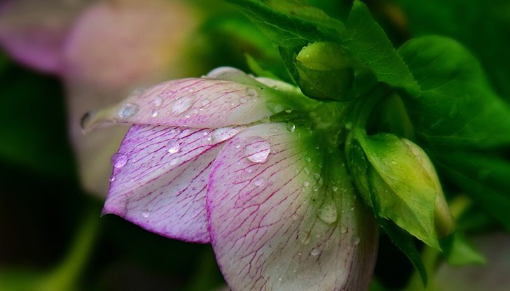 В Източна България ще продължи да духа слаб югоизточен вятър В Източна България ще продължи да духа слаб югоизточен вятър