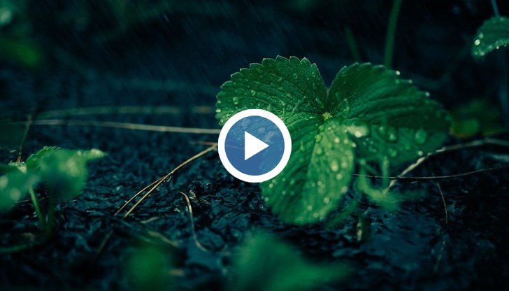 Типично пролетно време