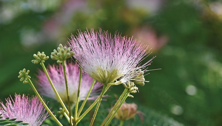 Минималните температури ще бъдат между 9° и 14°, максималните – предимно между 18° и 23 Минималните температури ще бъдат между 9° и 14°, максималните – предимно между 18° и 23
