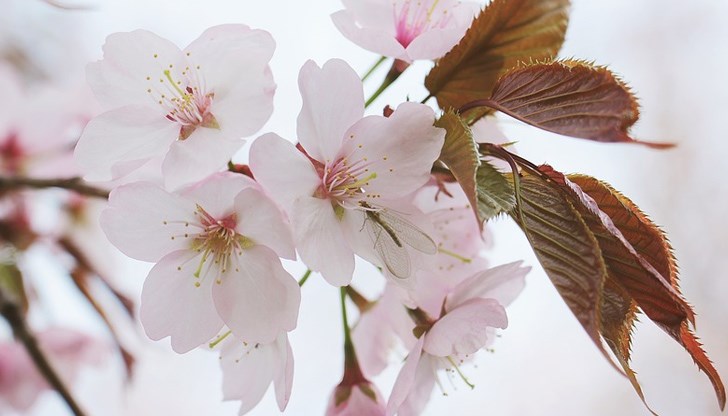 Изминалият април бе много дъждовен и снежен Изминалият април бе много дъждовен и снежен