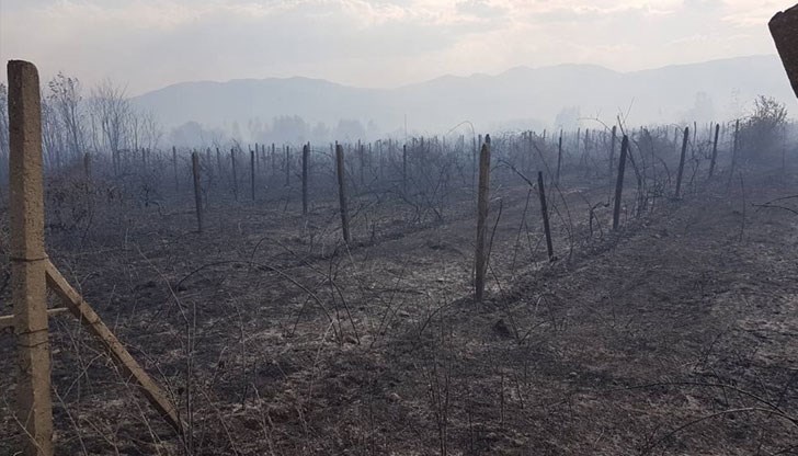 Бавят без основание обезщетенията след пожар, изпепелил огромни площи Бавят без основание обезщетенията след пожар, изпепелил огромни площи