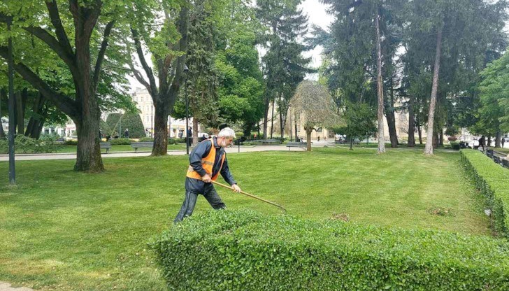 Косенето в градини, паркове, междублокови пространства и прилежащите територии на градските булеварди се извършва от служителите паралелно в шестте района на Русе