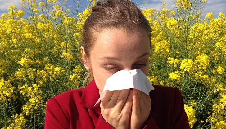 Ще цъфтят тревите и иглолистните растения Ще цъфтят тревите и иглолистните растения