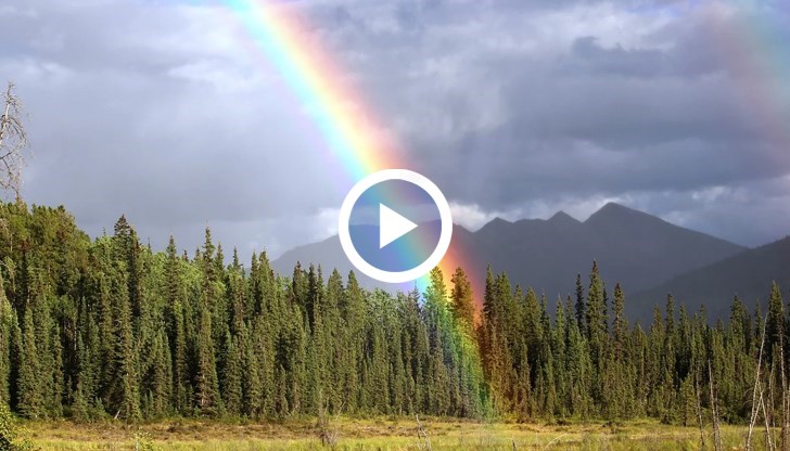 За да се избегнат потопите в градове и села, които наводняват улици и къщи, трябва да има шахти в ниските места