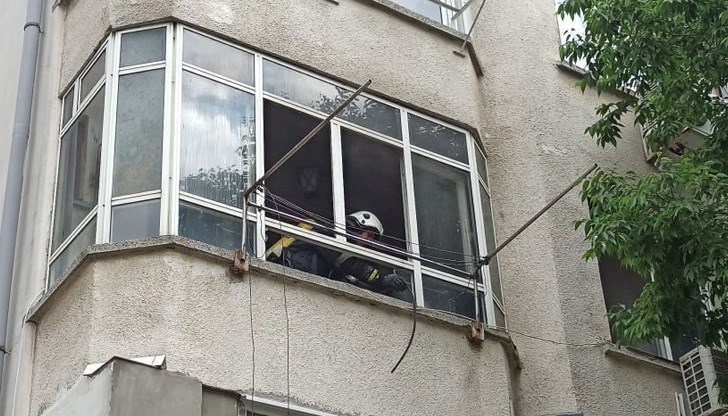 Щетите в жилището са огромни