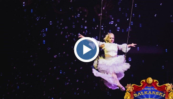 Залите, в които се помещава циркът, ще се дезинфектират след всеки спектакъл, а капацитетът им ще бъде запълнен на 50%