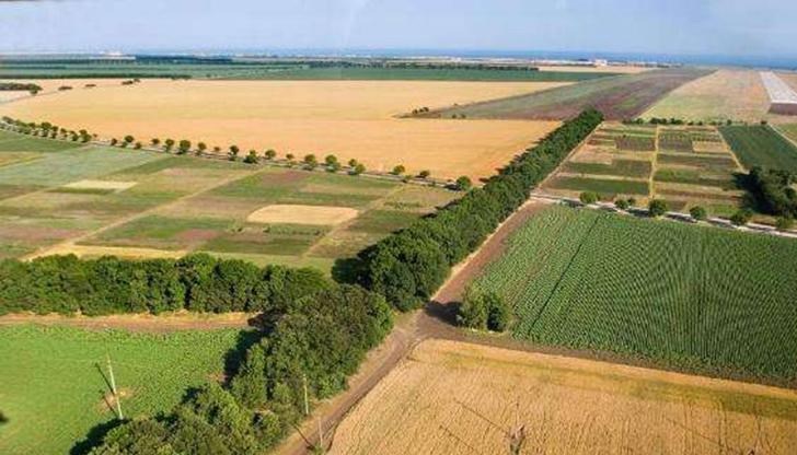 Най-голямата тайна в ловните среди са договорите за съвместно изпълнение на дейности, въз основа на които държавните ловни стопанства (ДЛС) „споделят“ с частния партньор всички инвестиции, разходи и приходи