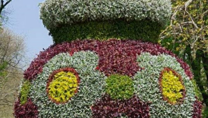 За красотата на русенския символ бяха използвани зелена и червена алтернантера, жълт колеус, червено ирезине и сива цинерария