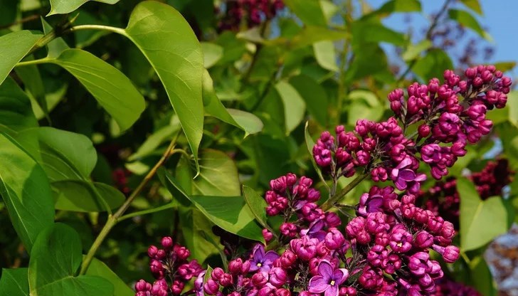 И утре ще е предимно слънчево и топло И утре ще е предимно слънчево и топло