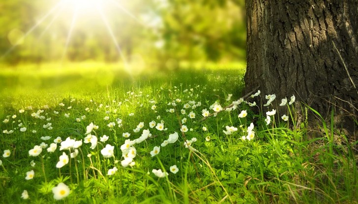 Юни е първият летен месец и тази година ще посрещнем лятото на 21 в 09,46 часа, когато слънцето влиза в знака на Рак Юни е първият летен месец и тази година ще посрещнем лятото на 21 в 09,46 часа, когато слънцето влиза в знака на Рак