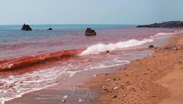 Червено море може да се определи като океан и според някои особености