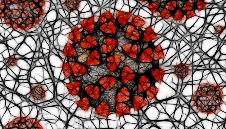 Това са 2,8% от тестваните