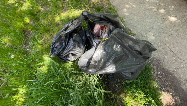 От гражданската инициатива очакват сигнали