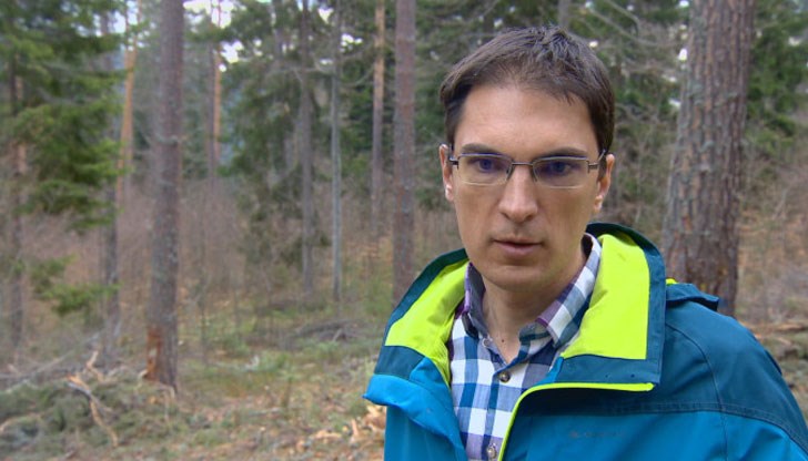 За да си върне горите, може да се наложи да ги изкупува от частни лица За да си върне горите, може да се наложи да ги изкупува от частни лица