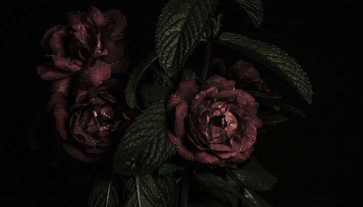 Съболезнования на близките! Съболезнования на близките!