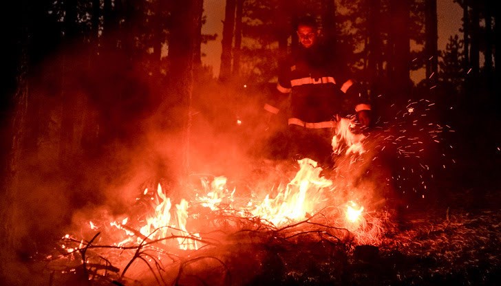 Мълния е причинила пожар в къща в село Слокощица, изгорели са повече от 80 животни и птици