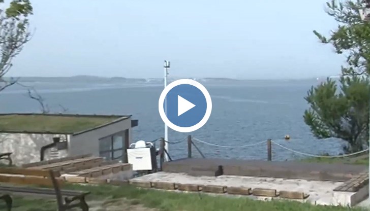 Телефоните са загрели