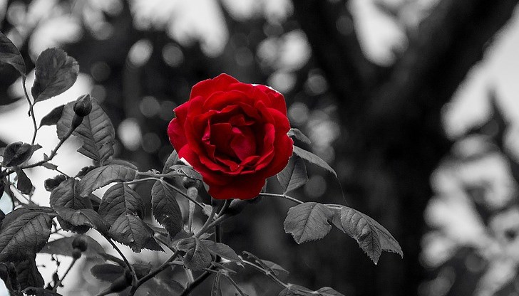 Съболезнования на близките! Съболезнования на близките!