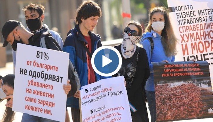 Демонстрантите твърдят, че фермата е пазена от „политически чадър“