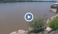 Вече седмица няма следа от изчезналия във водите на Дунав русенец