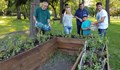 Русенци направиха първата споделена зеленчукова градина