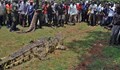 Най-накрая заловиха крокодила, изял 80 човека в Уганда