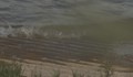 Германия потвърди за удавените в река Рейн три български момичета