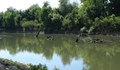 Баща и син се удавиха във водите на река Вит край Плевен