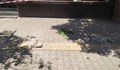 Отломка от фасада падна на спирка в София