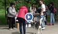 Русенец едва спаси кучето си от примамка с отрова в Парка на младежта